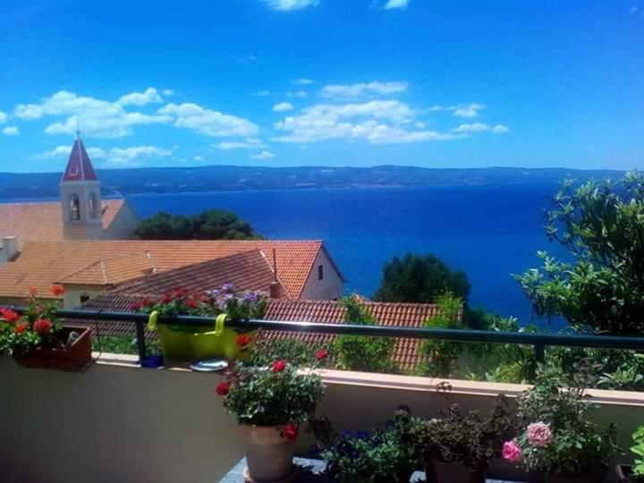 Judita Omiš Exterior foto